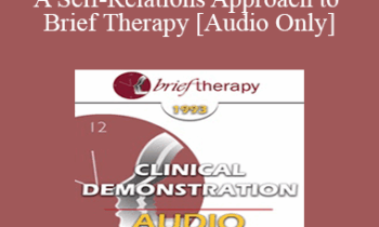 [Audio] BT93 Clinical Demonstration 14 - A Self-Relations Approach to Brief Therapy - Stephen Gilligan