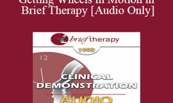[Audio] BT93 Clinical Demonstration 17 - Getting Wheels in Motion in Brief Therapy - Stephen Lankton