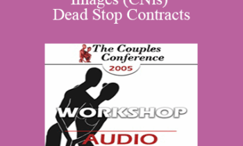 [Audio] CC05 Workshop 05 - Core Negative Images (CNis) and Dead Stop Contracts: Powerful Tools of Relational Recovery Therapy - Terry Real