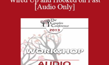 [Audio] CC13 Workshop 15 - SPEEEEEED! Wired Up and Hooked on Fast - Stephanie Brown