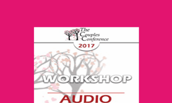 [Audio] CC17 Workshop 02 - Betrayal: Structuring Your Approach - Stan Tatkin