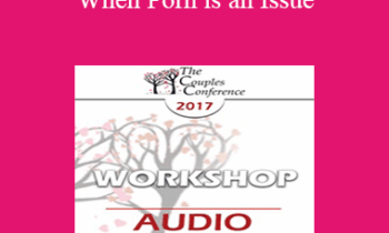 [Audio] CC17 Workshop 09 - When Porn is an Issue: Couples Counseling & Psychotherapy that Works - Marty Klein
