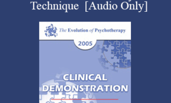 [Audio] EP05 Clinical Demonstration 09 - The Union of Humanity and Technique - Erving Polster