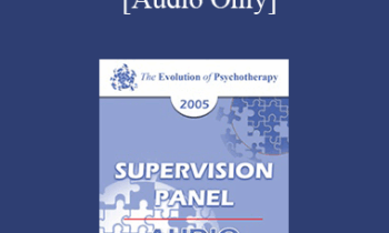 [Audio] EP05 SP05 - Supervision Panel - Robert Dilts