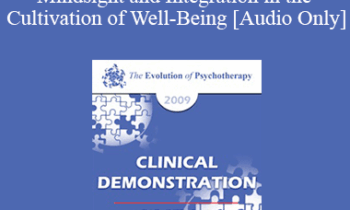 [Audio] EP09 Clinical Demonstration 05 - Mindsight and Integration in the Cultivation of Well-Being - Daniel Siegel