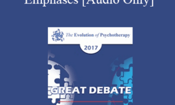 [Audio] EP17 Great Debates 07 - Cognitive vs Experiential Emphases - Stephen Gilligan