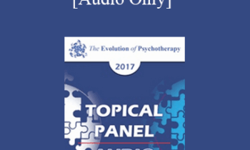 [Audio] EP17 Topical Panel 13 - Humor in Therapy - Stephen Gilligan