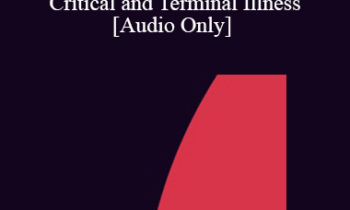 [Audio] IC04 Short Course 02 - Overcoming Barriers to Empathic but Efficient Therapy for People with Critical and Terminal Illness - Kathleen Donaghy