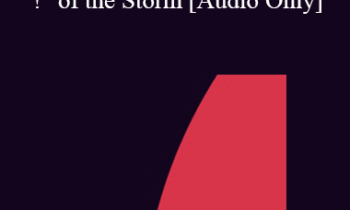 [Audio] IC04 Short Course 27 - Creating the Eye and the "!" of the Storm: A Hypnotic Experience of Transforming the Frenzy of Infertility - Helen Adrienne