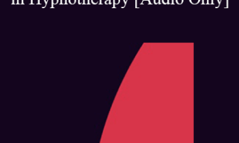 [Audio] IC07 Fundamentals of Hypnosis 06 - The Use of the Therapist’s Self in Hypnotherapy - Stephen Gilligan