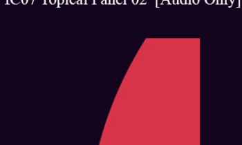 [Audio] IC07 Topical Panel 02 - Training & Supervision - George Gafner