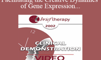[Audio and Video] BT02 Clinical Demonstration 05 - Facilitating the Creative Dynamics of Gene Expression and Brain Growth - Ernest Rossi