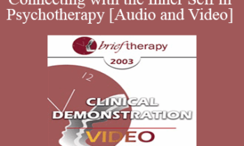 [Audio and Video] BT03 Clinical Demonstration 05 - Connecting with the Inner Self in Psychotherapy - Stephen Gilligan