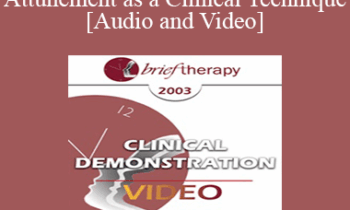 [Audio and Video] BT03 Clinical Demonstration 07 - Attunement as a Clinical Technique - Pat Love