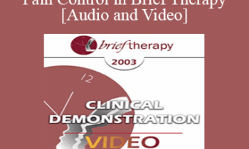 [Audio and Video] BT03 Clinical Demonstration 12 - Pain Control in Brief Therapy - Stephen Lankton