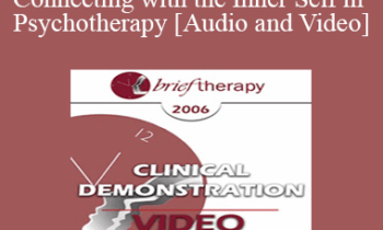[Audio and Video] BT06 Clinical Demonstration 03 - Connecting with the Inner Self in Psychotherapy - Stephen Gilligan