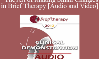 BT12 Clinical Demonstration 07 - The Art of Making Small Changes in Brief Therapy - Bill O’Hanlon