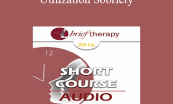 BT16 Short Course 10 - Utilization Sobriety: Incorporating the Essence of Mind-Body Communication for Brief Individualized Substance Abuse Treatment - Bart Walsh