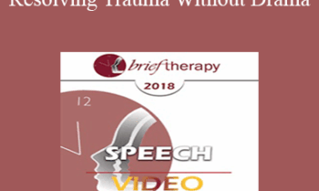 BT18 Speech 04 - Resolving Trauma Without Drama: Four Present- and Future-Oriented Methods for Treating Trauma Briefly and Respectfully - Bill O'Hanlon