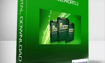 Bing Bang Profits 2 + OTOs
