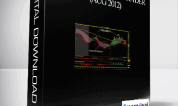 Boomerang Day Trader (Aug 2012)