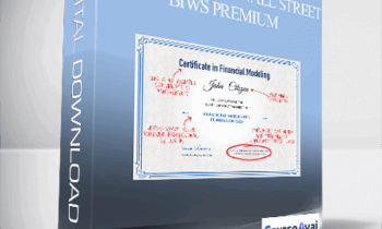 Breaking into Wall Street – BIWS Premium