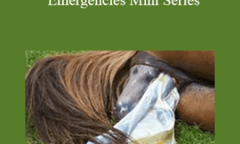 CPD - MS060 – Equine Emergencies Mini Series