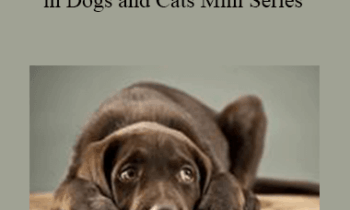 CPD - MS067 – Behavioural Problems in Dogs and Cats Mini Series