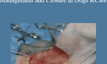 CPD - MS097 – Getting it Together – Wound Management and Closure in Dogs and Cats
