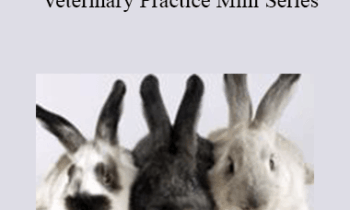 CPD - MS105 – A to Z of Rabbits in Veterinary Practice Mini Series