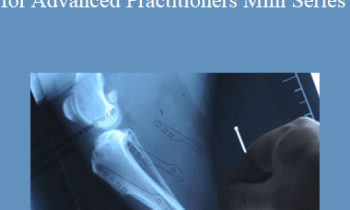 CPD - MS119 – Cranial Cruciate Ligament Masterclass for Advanced Practitioners Mini Series