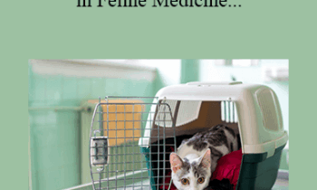 CPD - MS135 – Hotter Topics in Feline Medicine-Challenging Cases for Advanced Practitioners Mini-Series