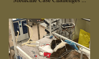 CPD - MS162 – Small Animal Emergency Medicine Case Challenges for Advanced Practitioners Mini Series