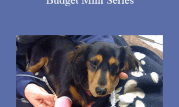 CPD - MS166 Medicine on a Budget Mini Series