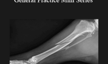 CPD - MS177 Fracture Fixation in General Practice Mini Series