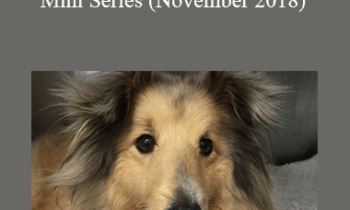 CPD - MS190 Hot Topics in Canine Medicine Mini Series (November 2018)