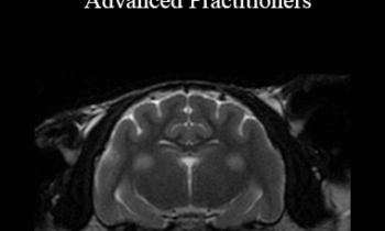 CPD - MS200 – CT and MRI for Advanced Practitioners