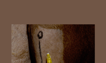 CPD - MS204 – Orthopaedic Case Challenges