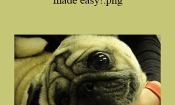 CPD - MS211 Veterinary Neurology made easy!