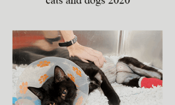 CPD - MS218 – Pain management in cats and dogs 2020