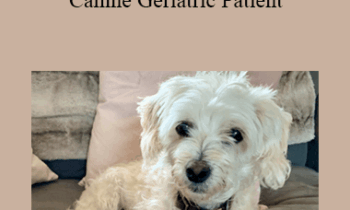 CPD - MS219 – Decision making in the Canine Geriatric Patient