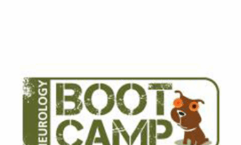 CPD - Neurology Boot Camp Option A