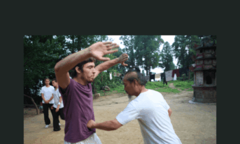 Da Gong : Big Dipper Body Protection - Wudang White Horse