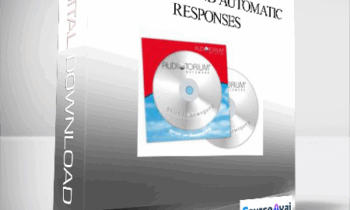 Danie Beaulieu - Going beyond automatic responses