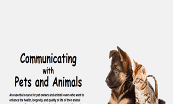 Deborah King - Communicating with Pets and Animals
