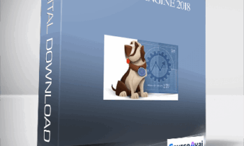 Dori Friend – Page One Engine 2018