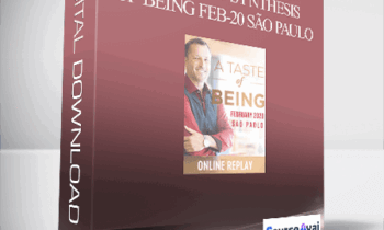 Dr. Dain Heer - Energetic Synthesis of Being Feb-20 São Paulo