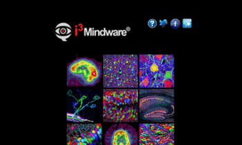 Dual N Back - i3 Mindware