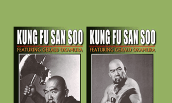 Gerald Okamura - Kung Fu San Soo