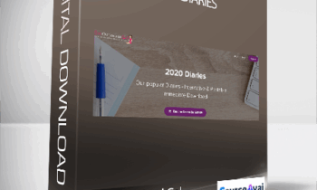 Get Organized Gal - 2020 Diaries